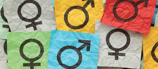 Informe GenderCat. Incorporación de la transversalidad de género en la Administración Pública
