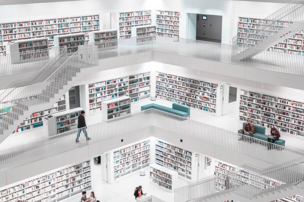 La percepció social de les professions que gestionen la informació