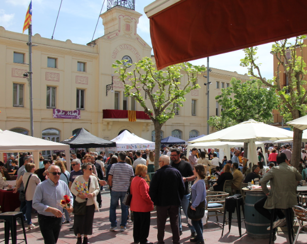 Pla Local de Salut de Sant Sadurní d’Anoia