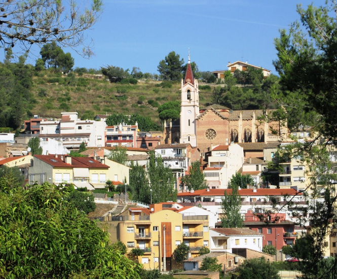 Perfil de Salut de Torrelles de Llobregat